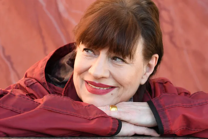 Ulla Meinecke mit Reinmar Henschke – Bessere Zeiten