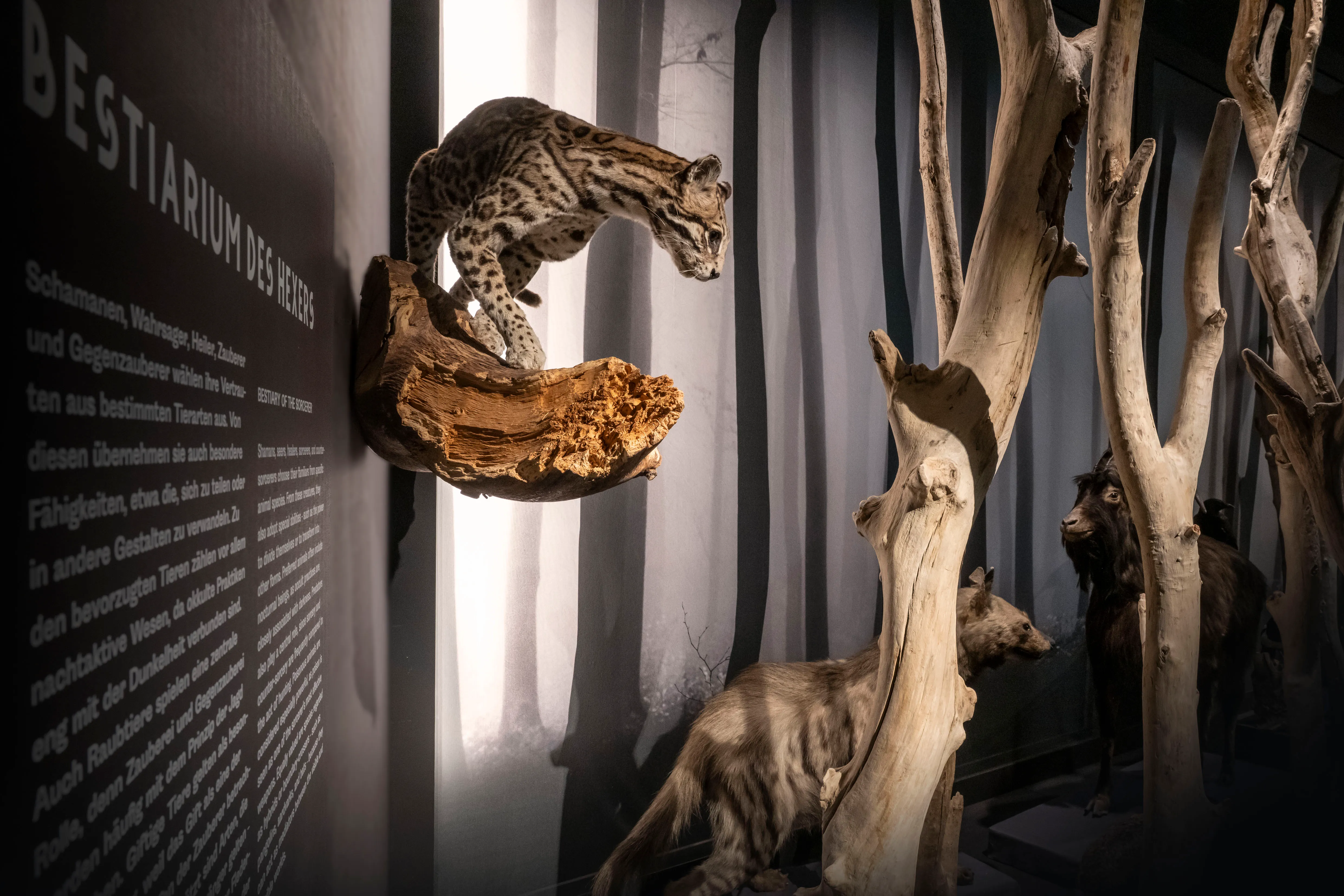 Magische Begleiter – Erfinden und zum Leben erwecken